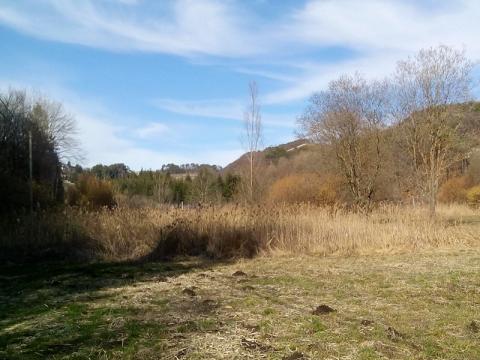 Valle Scanderlotti (Riserva Naturale Locale)