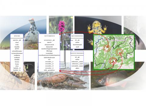 WebGIS