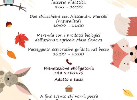 Chi c'è nel bosco?