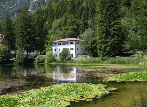 Estate 2018 a Cei