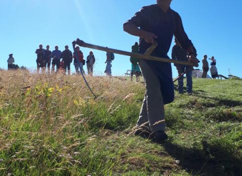 FEN FEN 2018