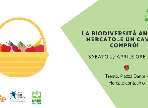 La biodiversità andò al mercato...e un cavolo comprò!