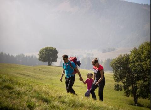 Nanna al Giardino: una RETE di esperienze