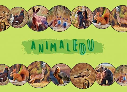 AnimalEDU 