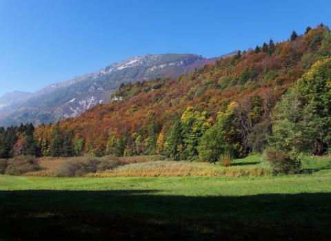 Casotte