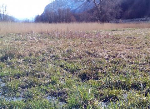 Riserva Locale Valle Scanderlotti