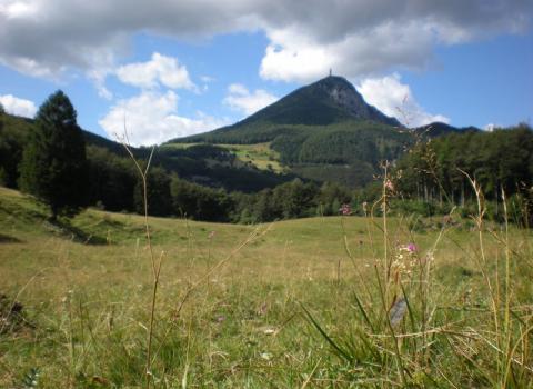 I pascoli di Malga Albi