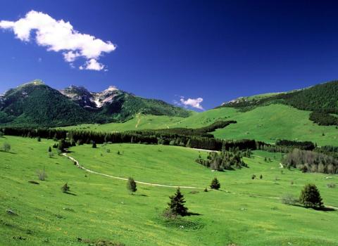 Panoramica conca delle Viote e Tre Cime