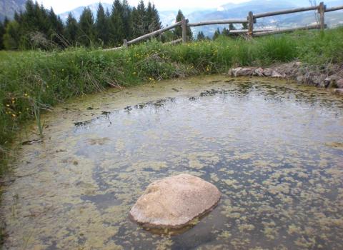 Malga Brigolina