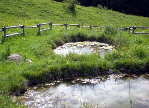 Malga Brigolina