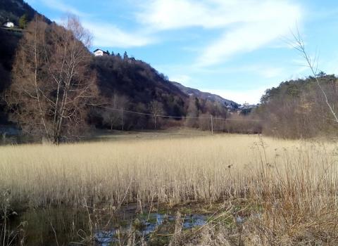 Riserva Locale Valle Scanderlotti