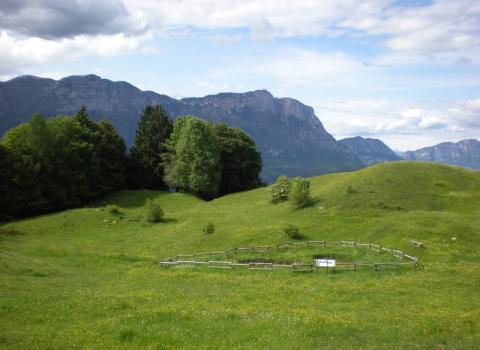Malga Brigolina