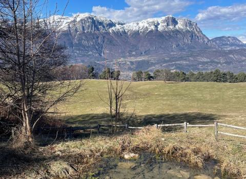 Malga Brigolina 