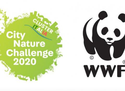 Natura dalla finestra: CNC 2020