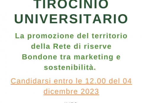 Tirocinio universitario alla Rete di Riserve Bondone Febbraio-Giugno 2024