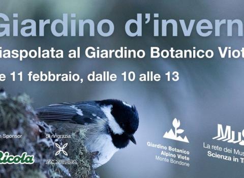Giardino d'inverno -  Ciaspolata al Giardino botanico alpino Viote