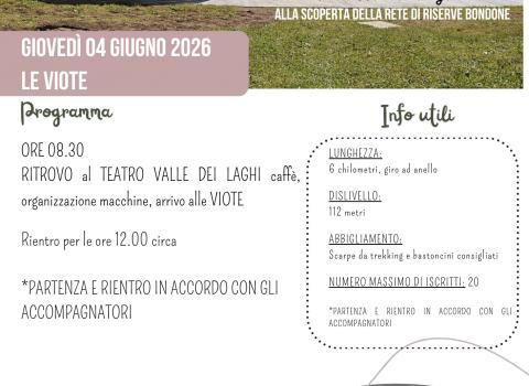 Viote - 4 giugno