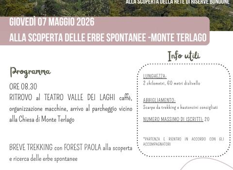 Due passi nella Rete