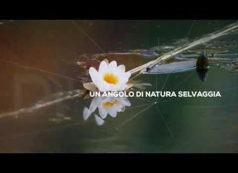 Embedded thumbnail for Video di presentazione della Rete