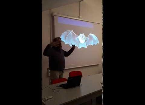Embedded thumbnail for BAT TALK - Pipistrelli nelle reti - 2018